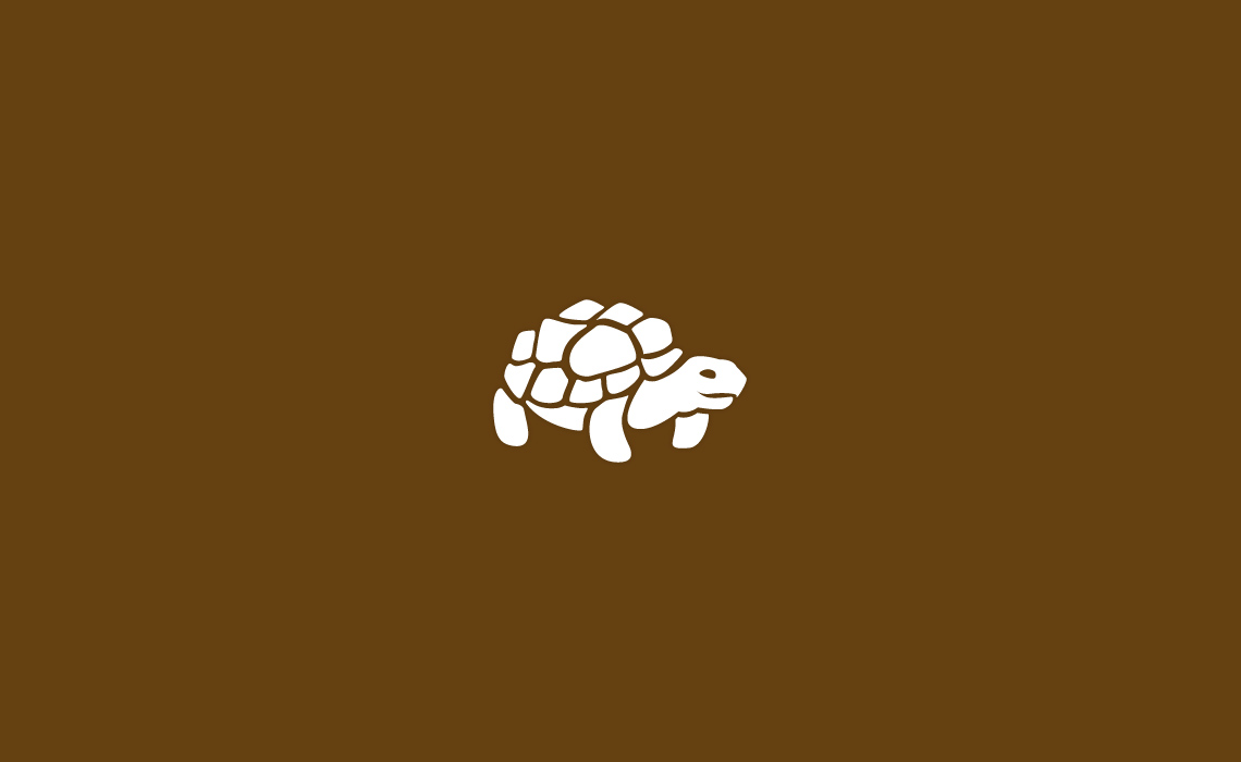Tortoise icon design