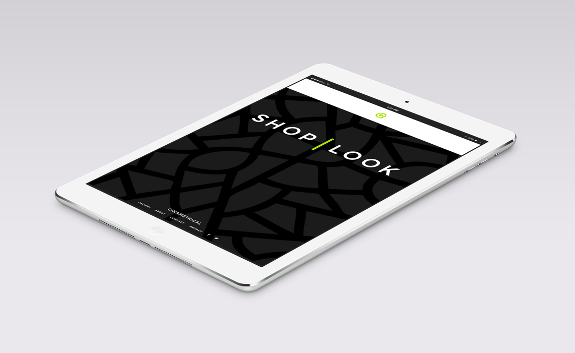 Ginametrical CMS Web Design