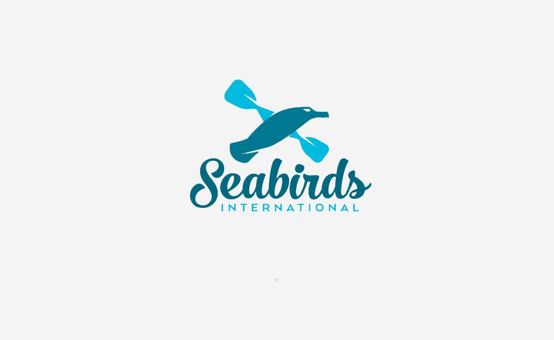 Seabirds International Logo Design by Typework Studio Logo Design Agency