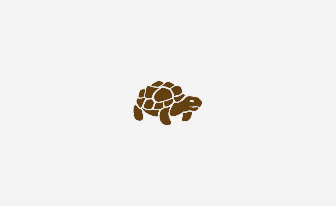 Tortoise icon design by Typework Studio Logo Design Agency